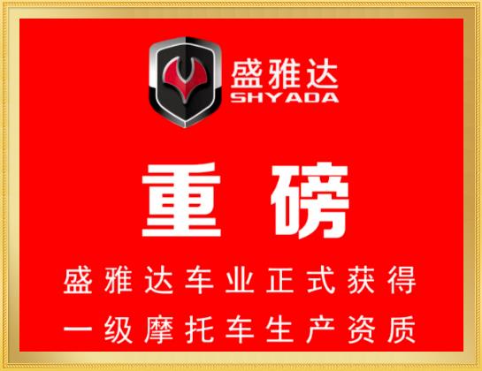 全新公告车型耀目上市，启动股权激励，盛雅达进阶无止境！