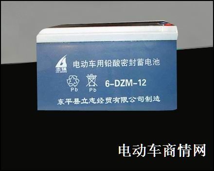 山东立志经贸有限公司诚招电动车铅酸蓄电池代理商